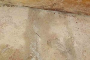 mildew and mold on wall